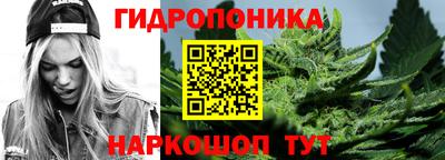 крисы Ставрополь