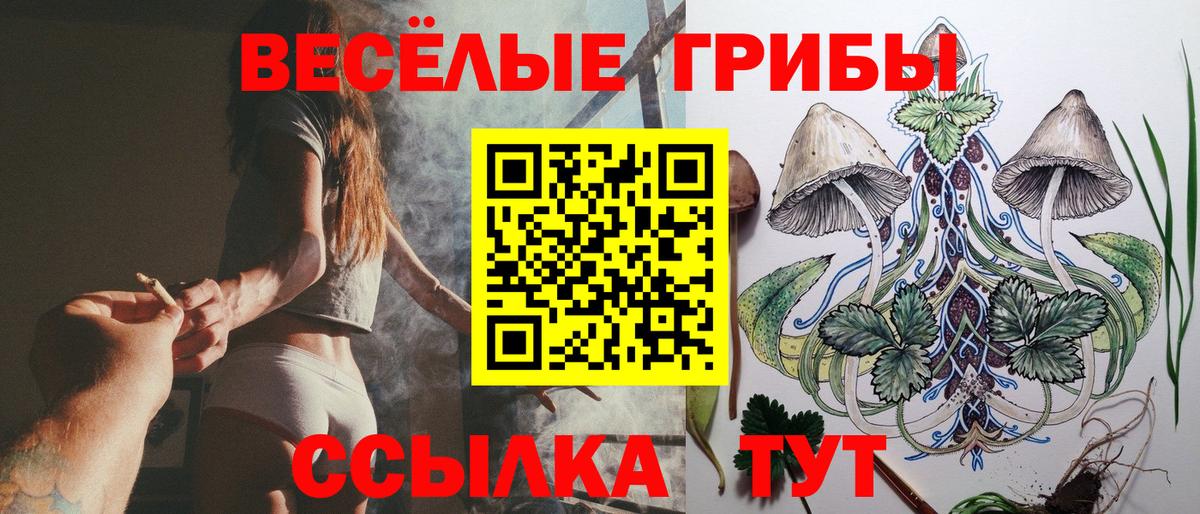 Галлюциногенные грибы Cubensis  Вход с VPN  Галлюциногенные грибы мухоморы  Азнакаево 